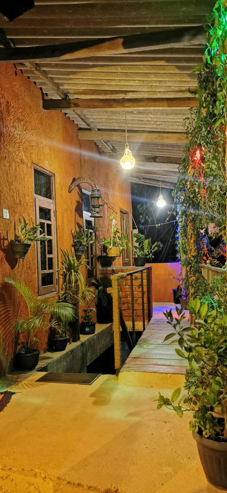 Hostal Tree House 엘라 외부 사진