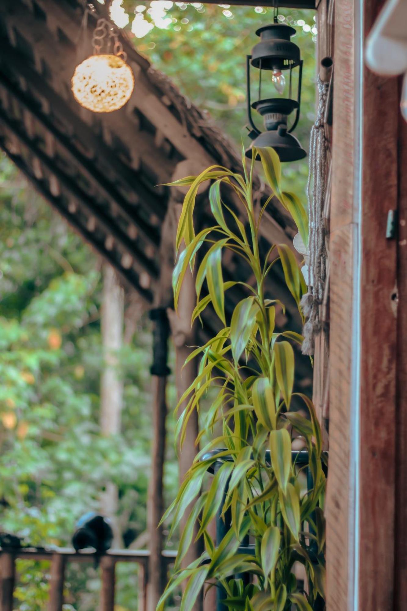 Hostal Tree House 엘라 외부 사진