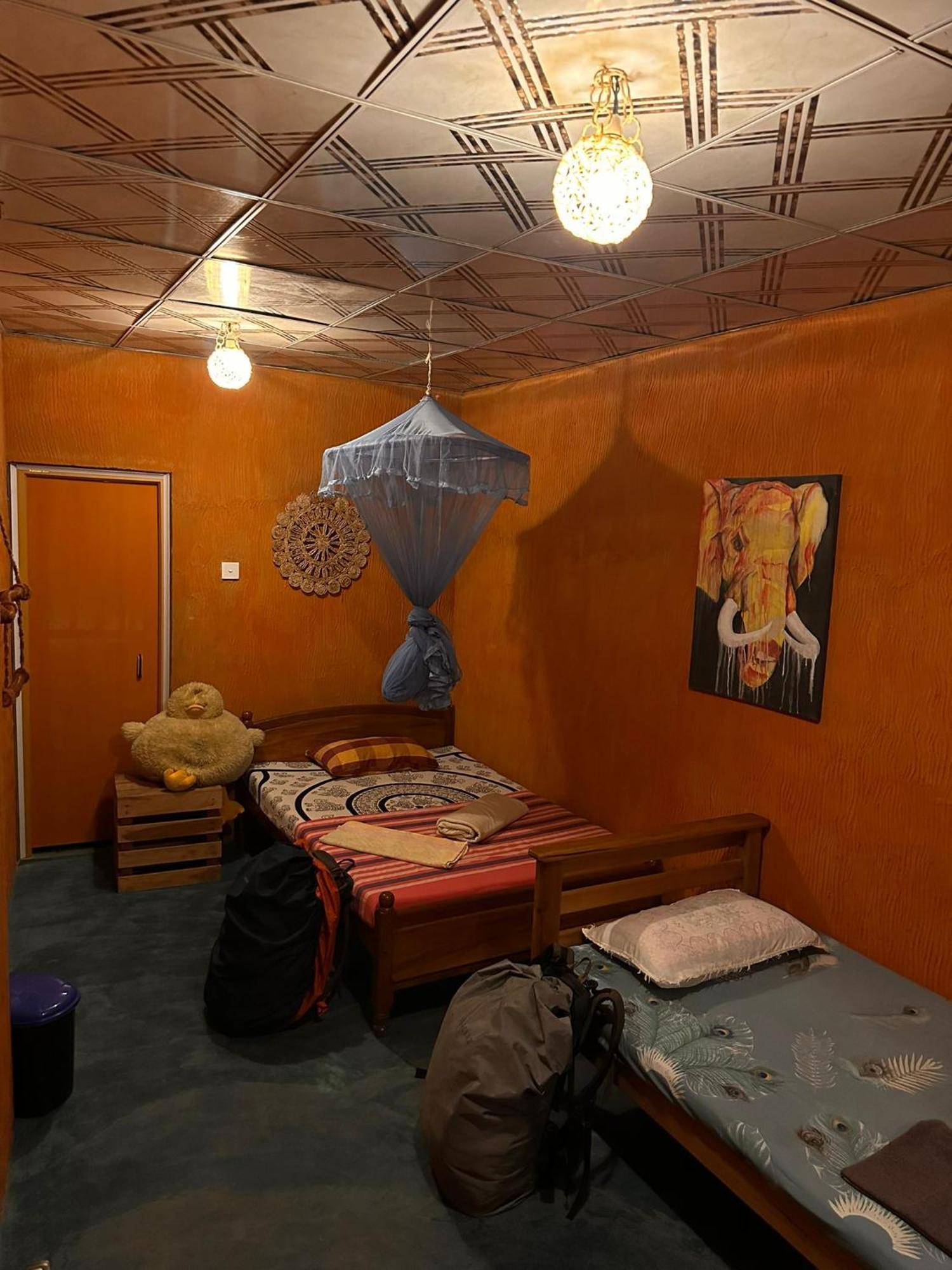 Hostal Tree House 엘라 외부 사진