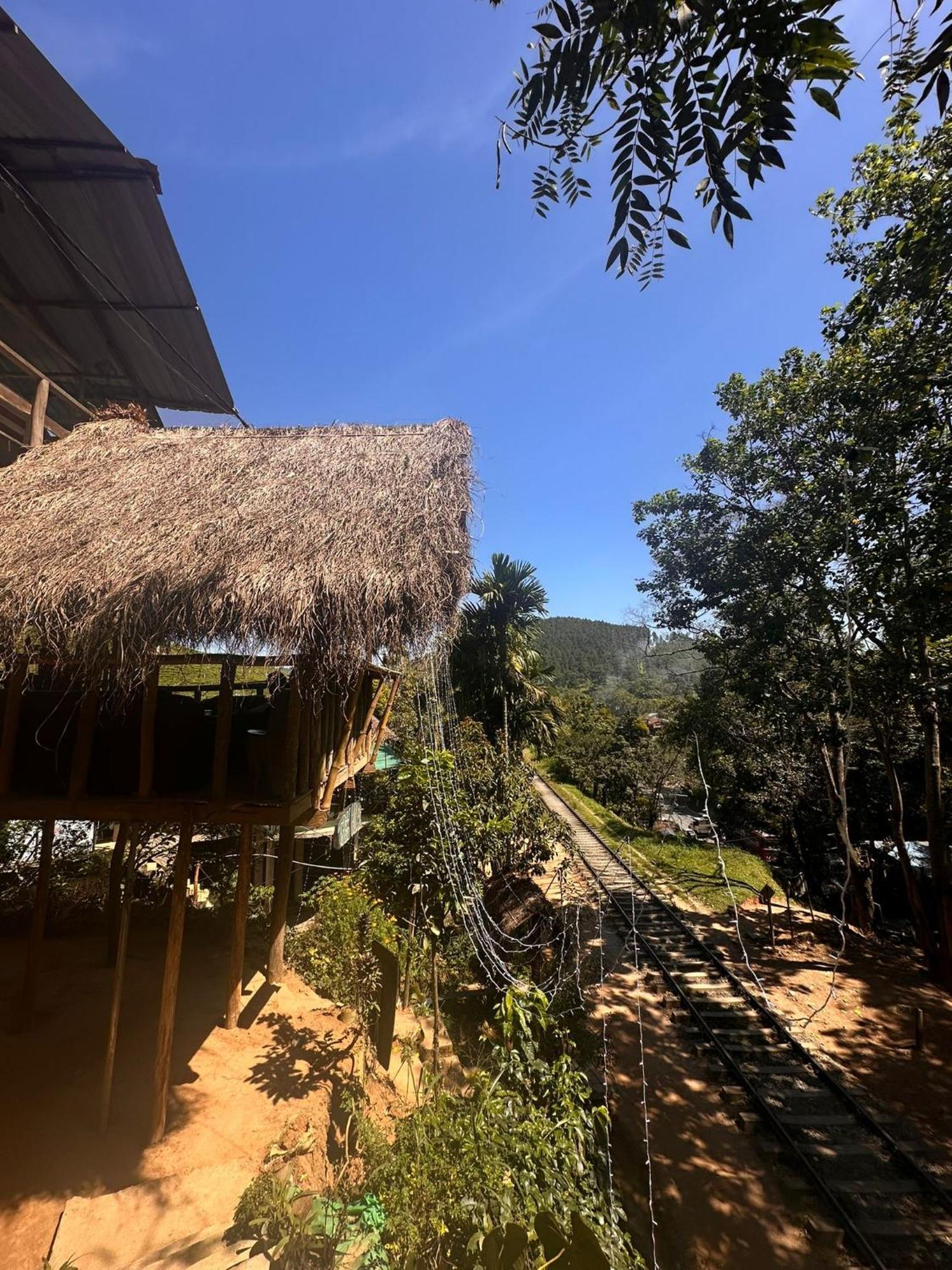 Hostal Tree House 엘라 외부 사진