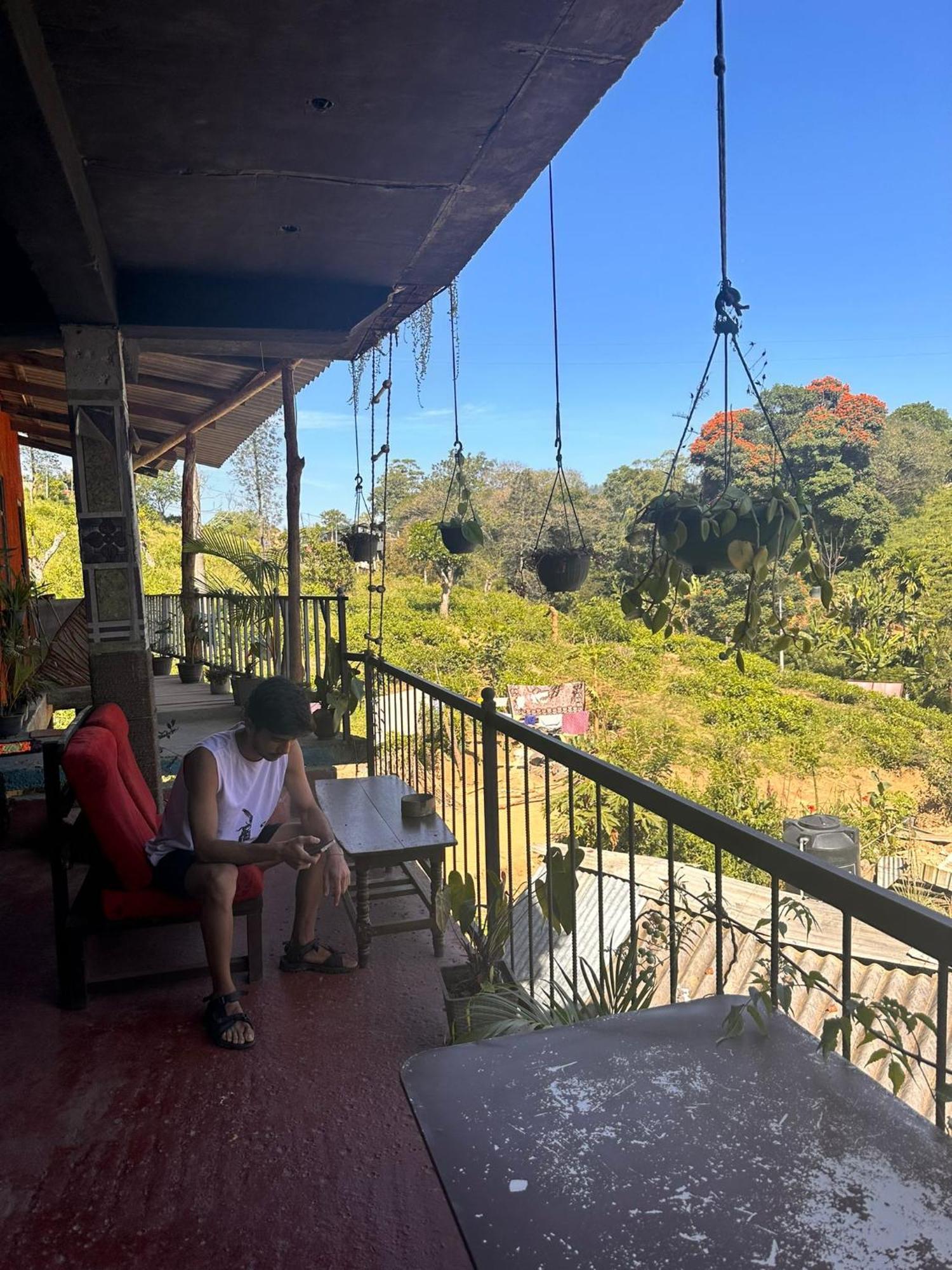 Hostal Tree House 엘라 외부 사진